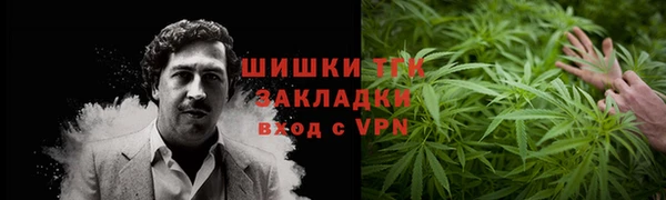 тгк Володарск