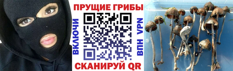 закладка  Ивдель  Галлюциногенные грибы ЛСД 
